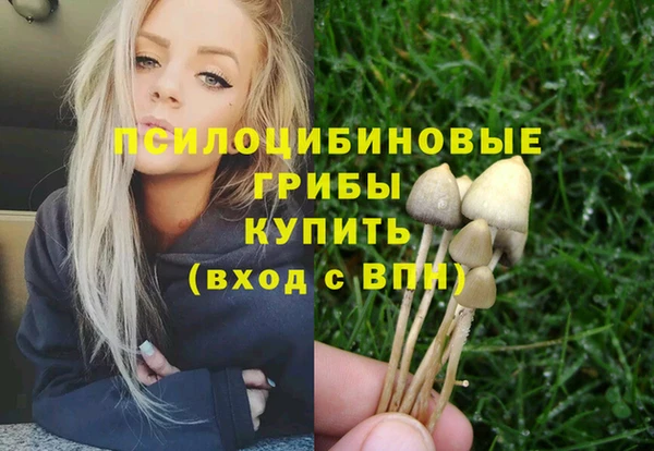 гидропоника Медногорск