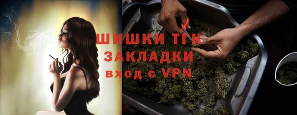 гидропоника Медногорск