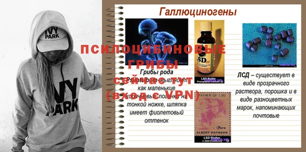 прущий лед Медвежьегорск