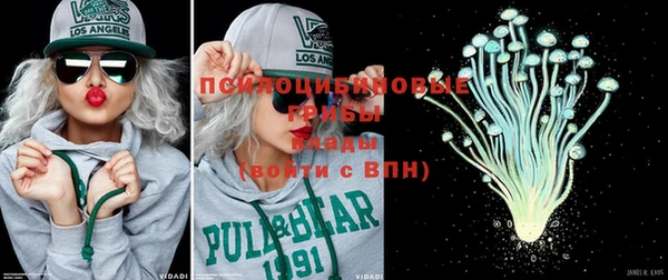 гидропоника Медногорск