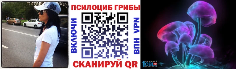 Галлюциногенные грибы мицелий  Купить закладки  Фрязино 